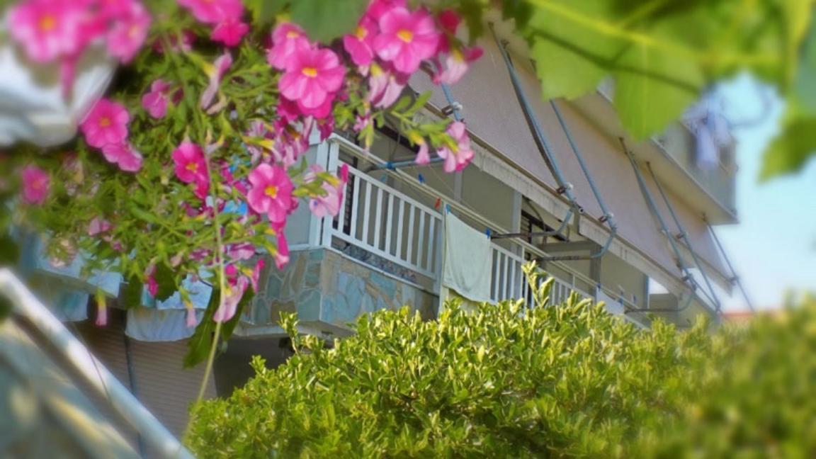 Dialekti Studios Toroni Ngoại thất bức ảnh